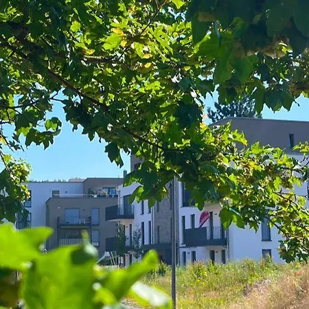 Apartment Baumhof55-3